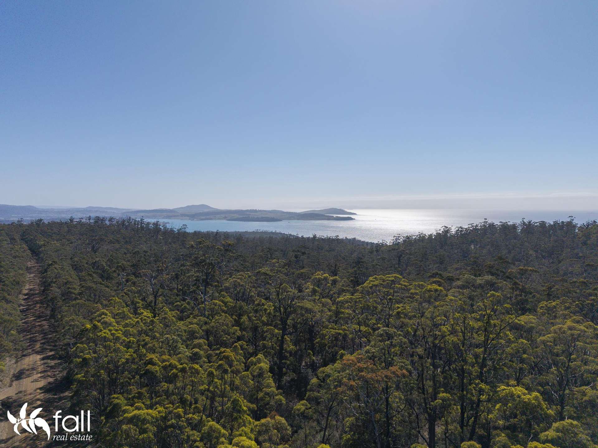 2476 Wielangta Road, Orford For Sale by Farmbuy.com - image 30