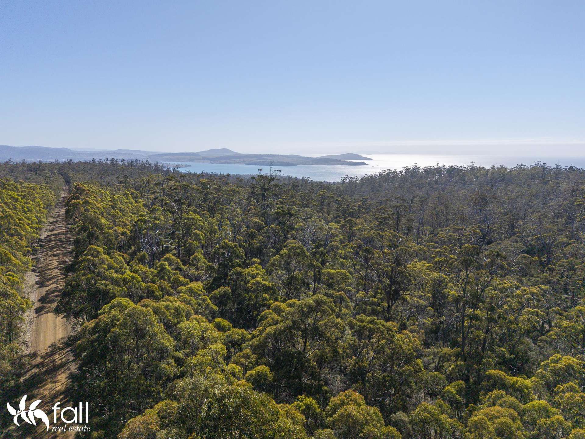 2476 Wielangta Road, Orford For Sale by Farmbuy.com - image 31