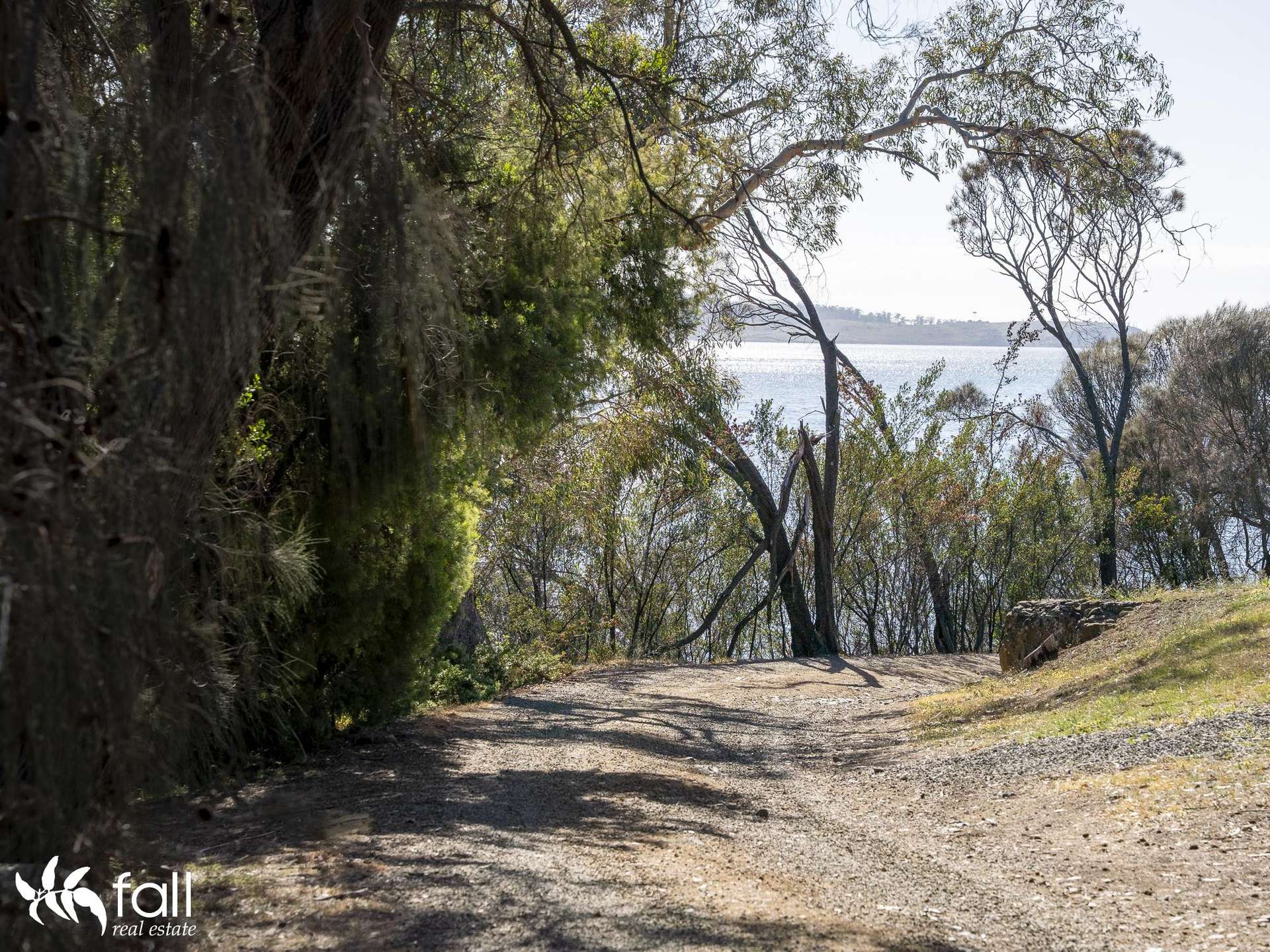 2476 Wielangta Road, Orford For Sale by Farmbuy.com - image 8