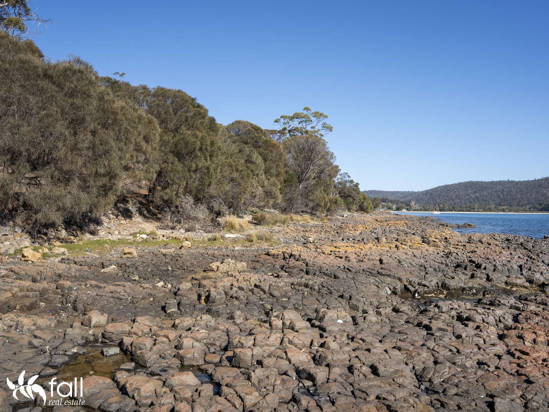 2476 Wielangta Road, Orford For Sale by Farmbuy.com - image 17
