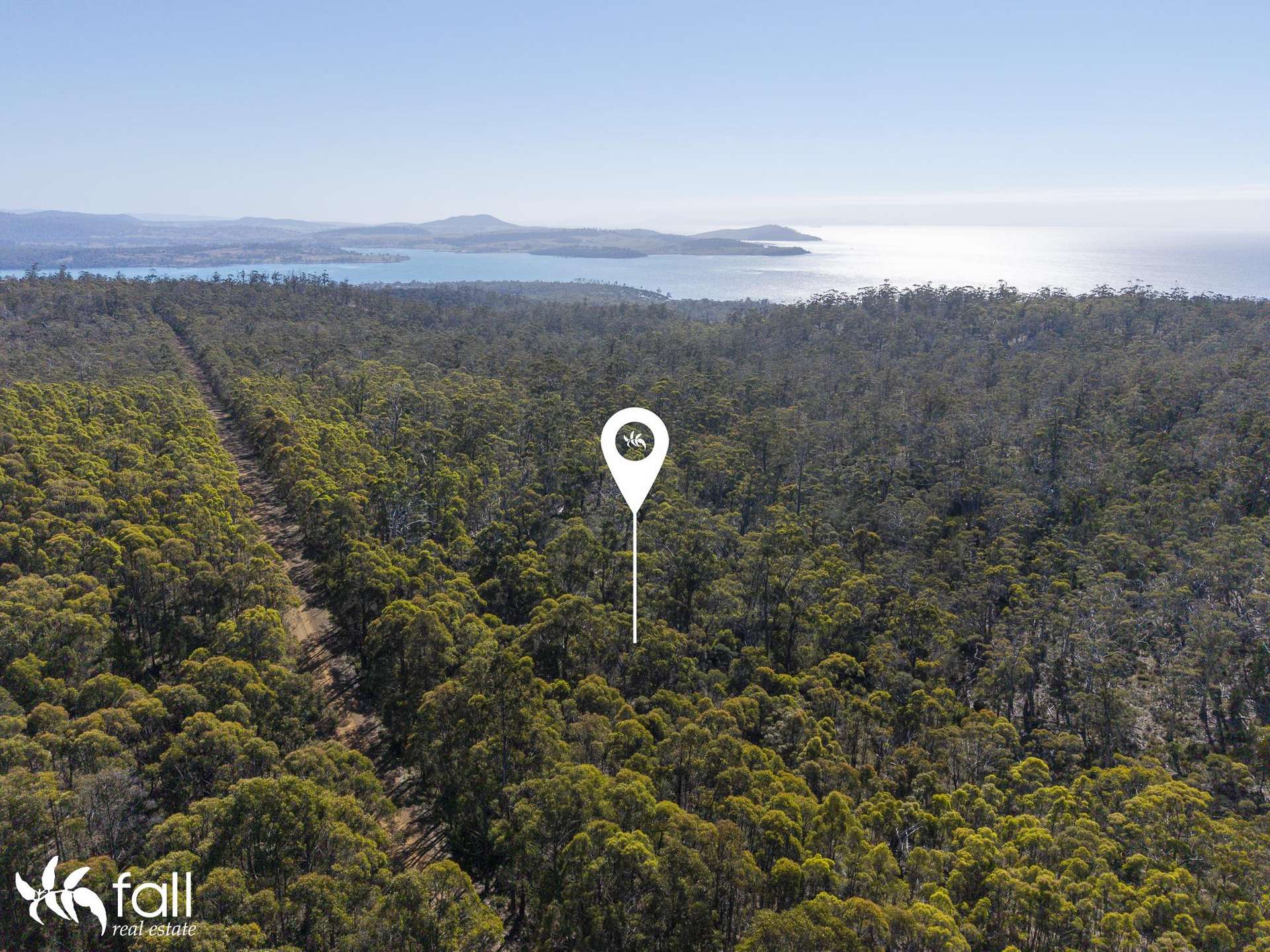 2476 Wielangta Road, Orford For Sale by Farmbuy.com - image 24