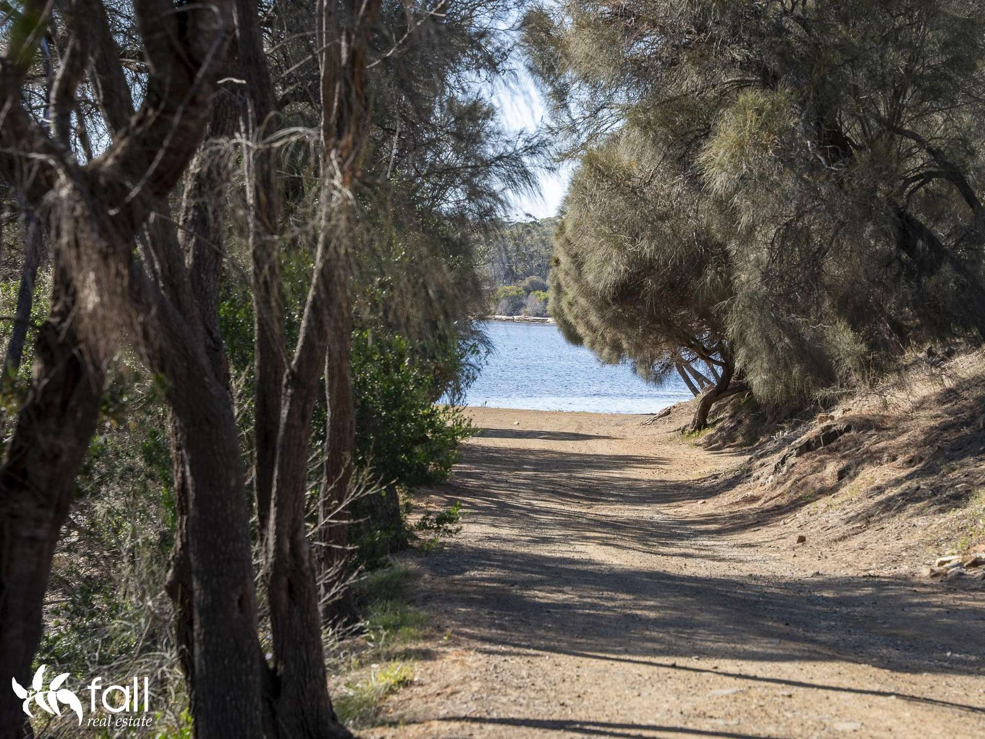 2476 Wielangta Road, Orford For Sale by Farmbuy.com - image 10