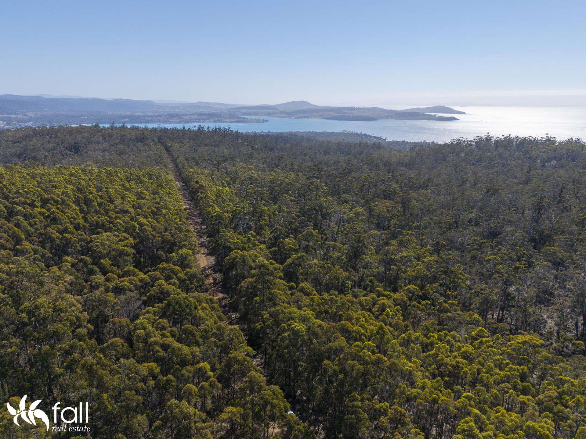 2476 Wielangta Road, Orford For Sale by Farmbuy.com - image 32