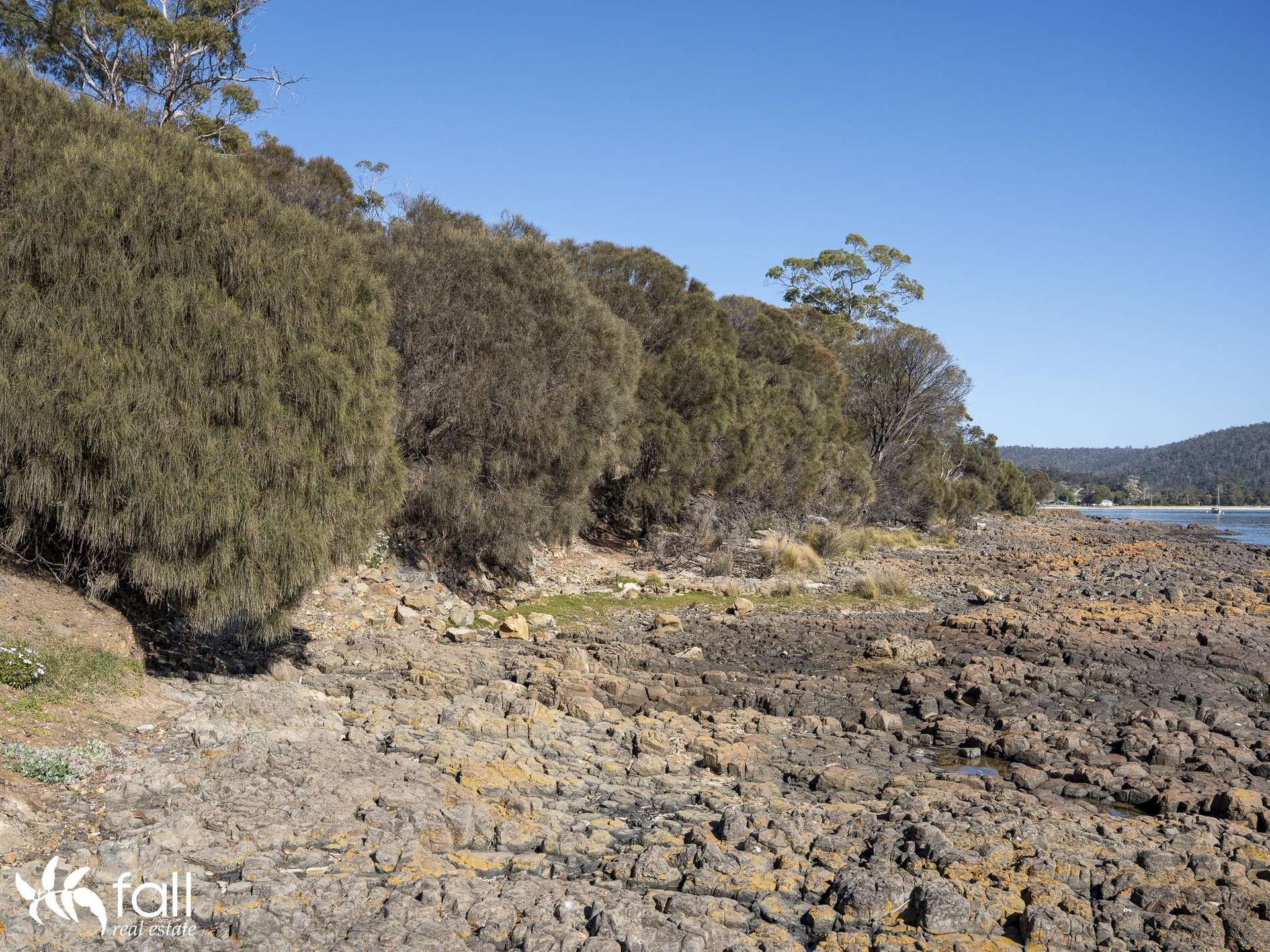 2476 Wielangta Road, Orford For Sale by Farmbuy.com - image 6