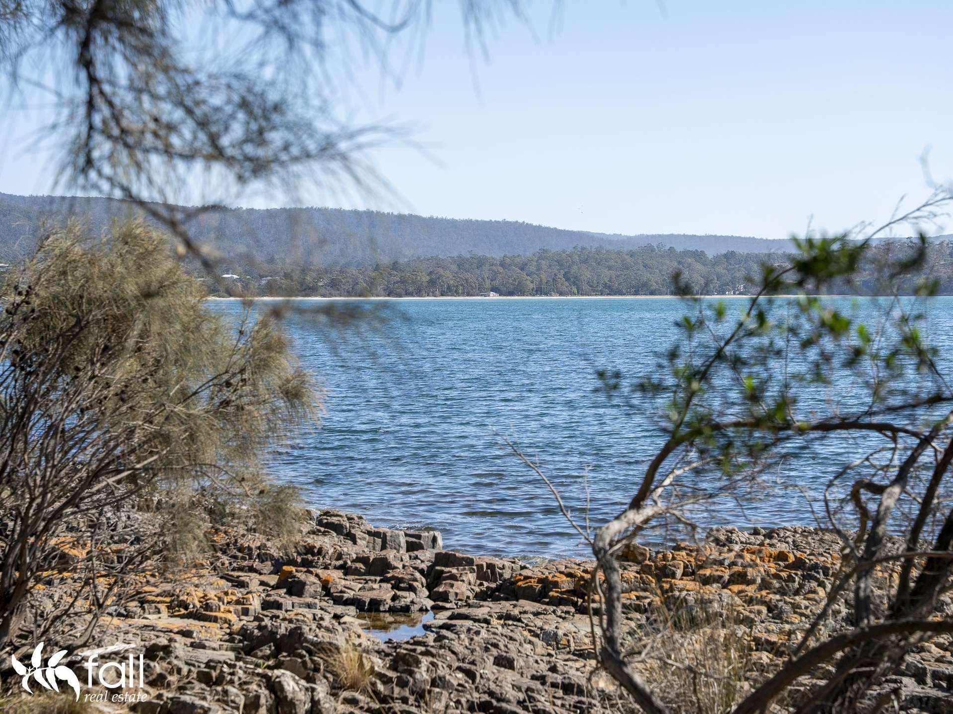 2476 Wielangta Road, Orford For Sale by Farmbuy.com - image 13