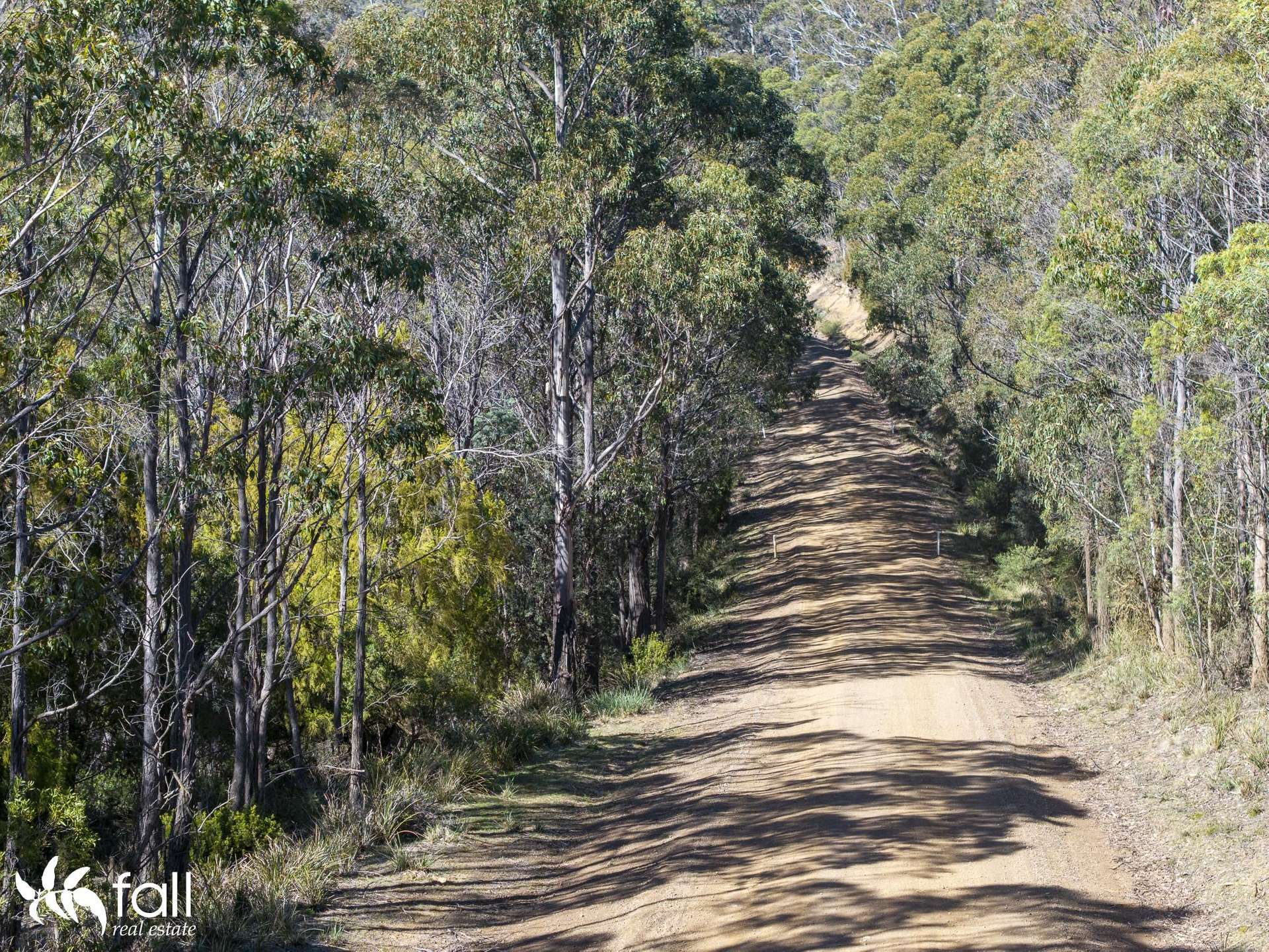 2476 Wielangta Road, Orford For Sale by Farmbuy.com - image 27
