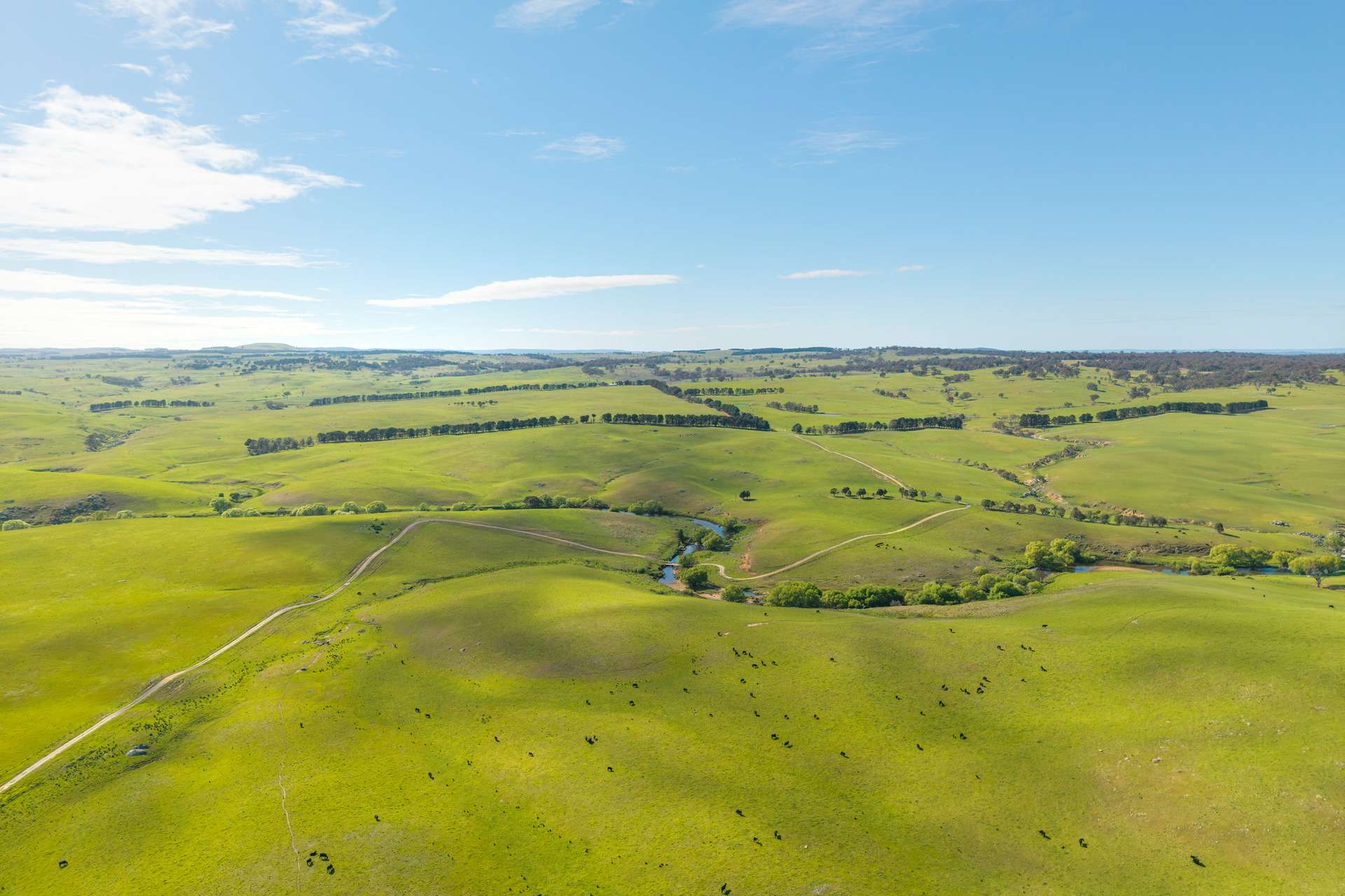 1994 Range Road, Goulburn For Sale by Farmbuy.com - image 5