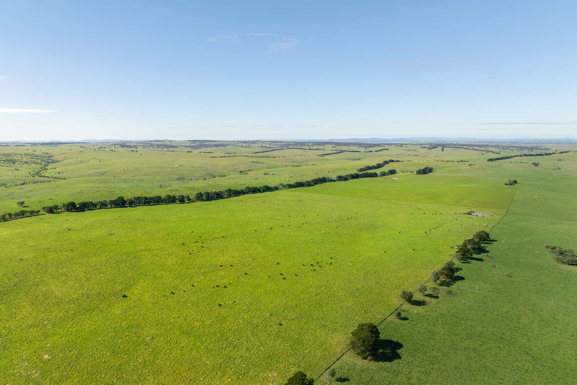 1994 Range Road, Goulburn For Sale by Farmbuy.com - image 8