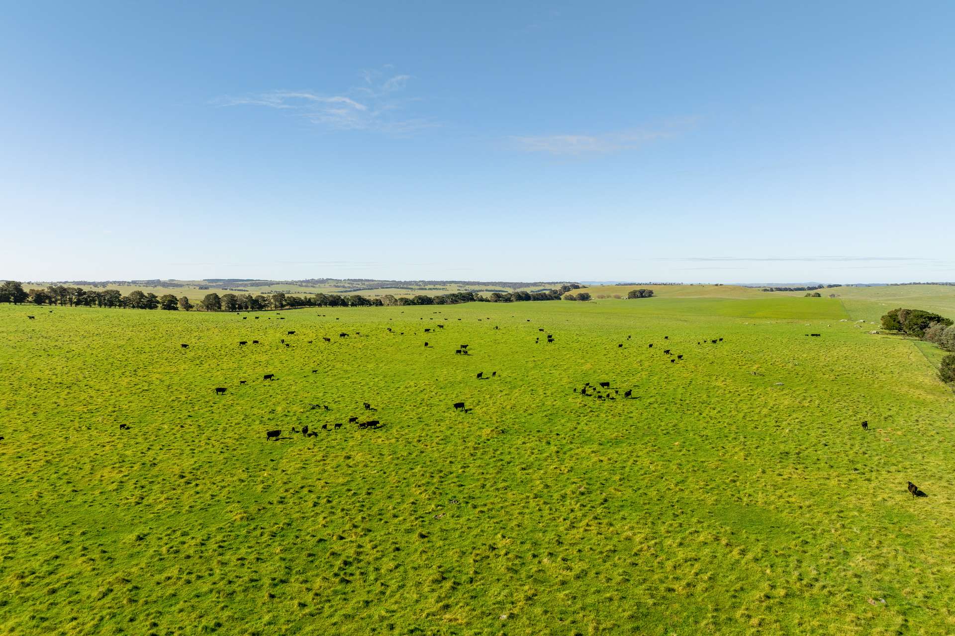 1994 Range Road, Goulburn For Sale by Farmbuy.com - image 34