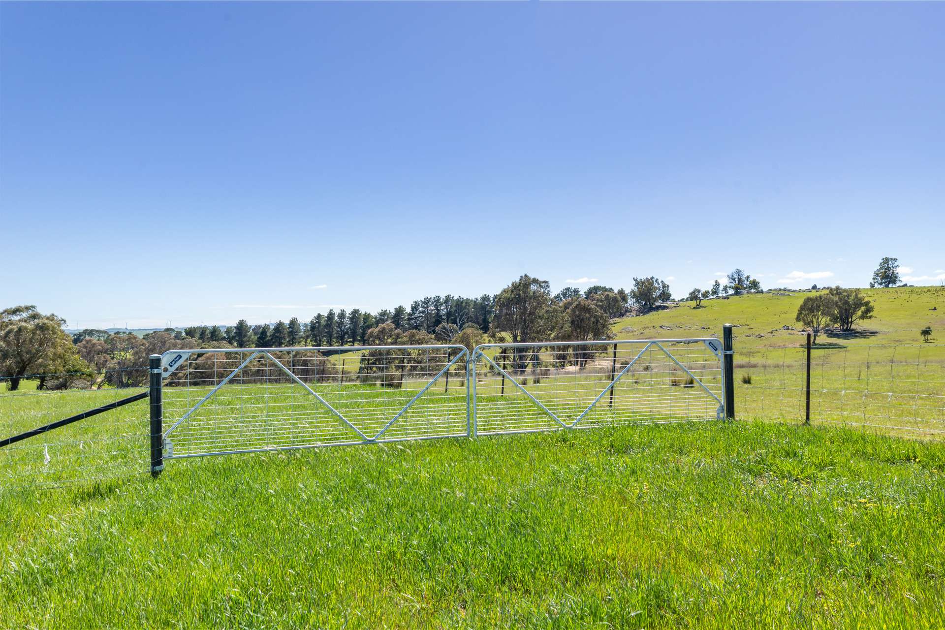 1994 Range Road, Goulburn For Sale by Farmbuy.com - image 20