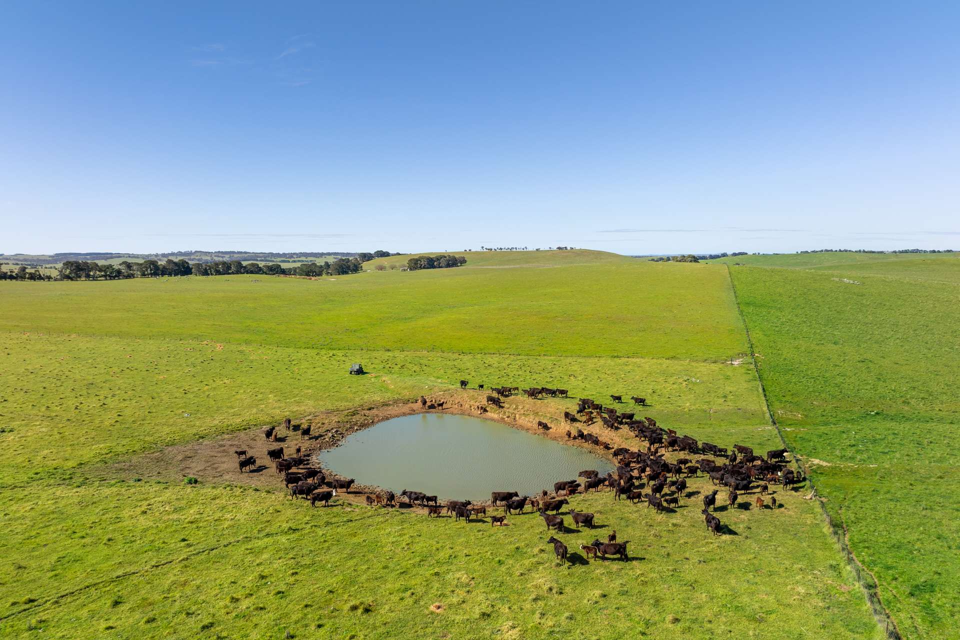 1994 Range Road, Goulburn For Sale by Farmbuy.com - image 4