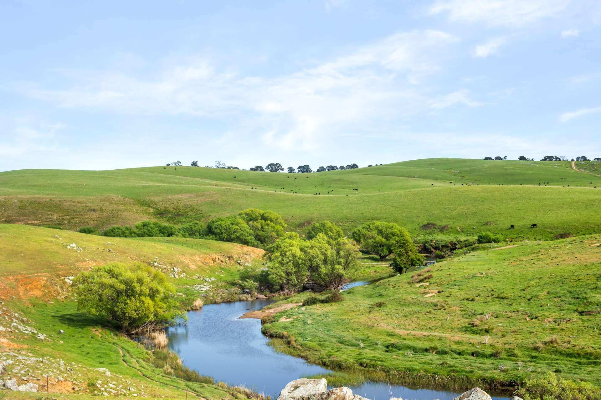 1994 Range Road, Goulburn For Sale by Farmbuy.com - image 15