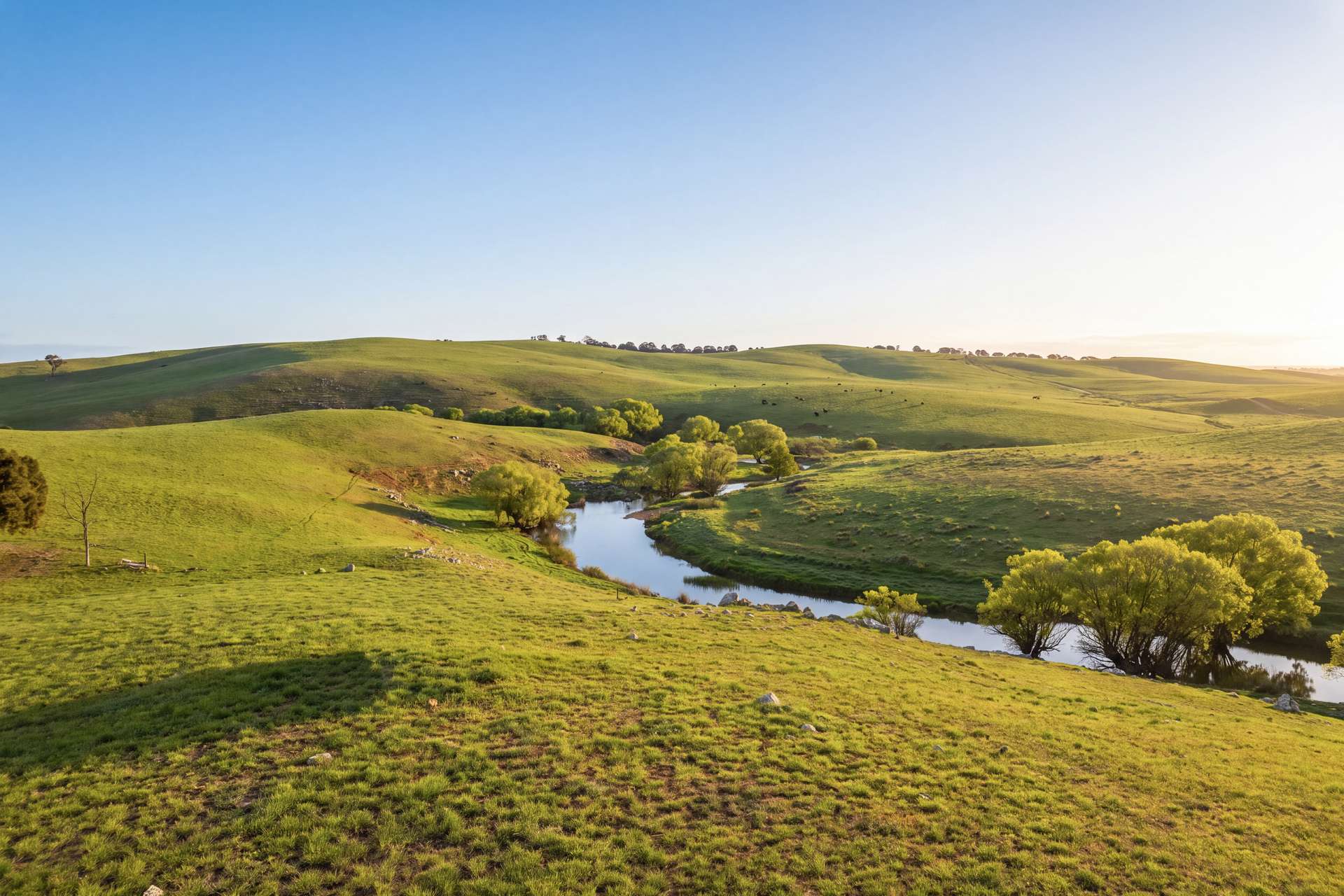 1994 Range Road, Goulburn For Sale by Farmbuy.com - image 21