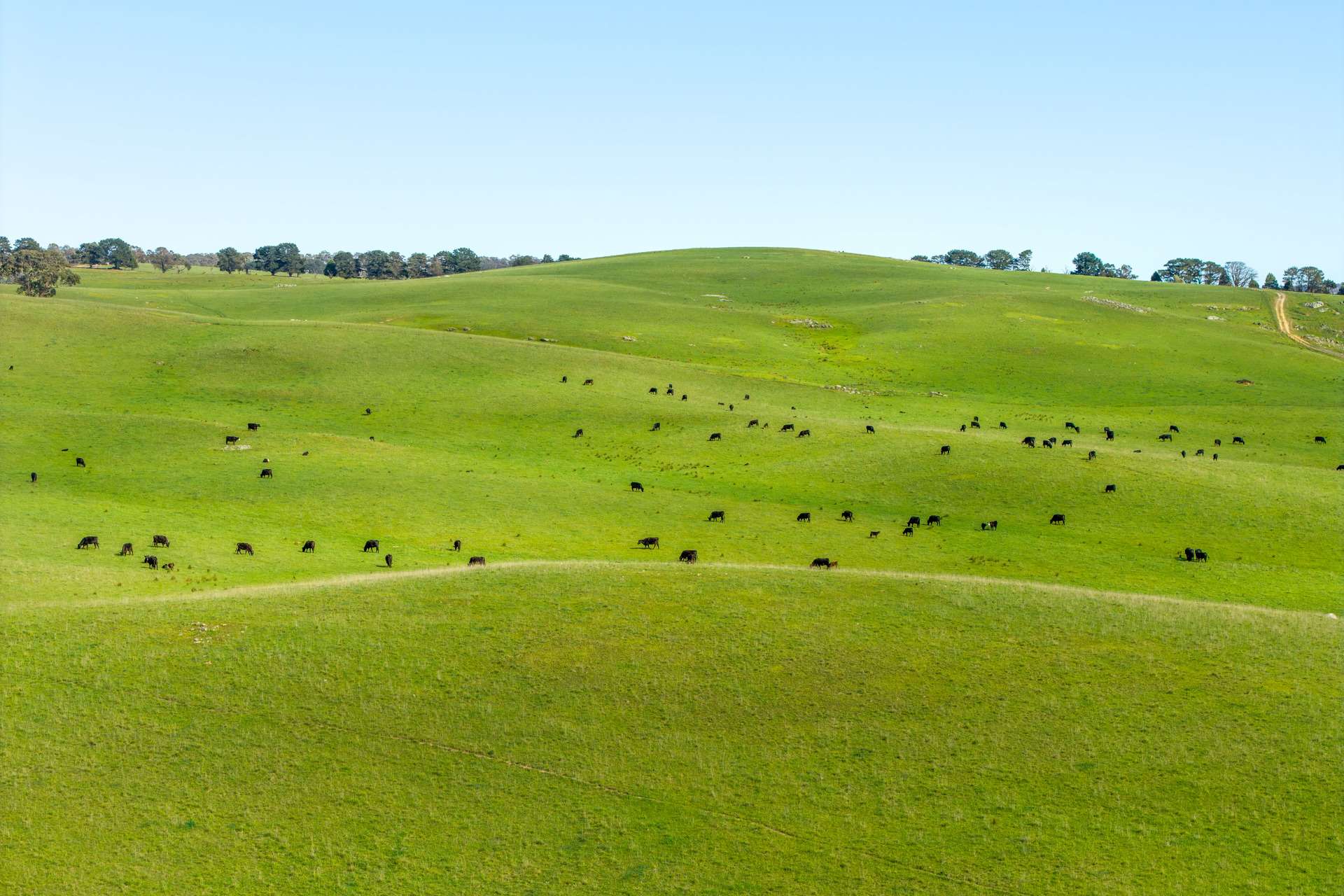 1994 Range Road, Goulburn For Sale by Farmbuy.com - image 22