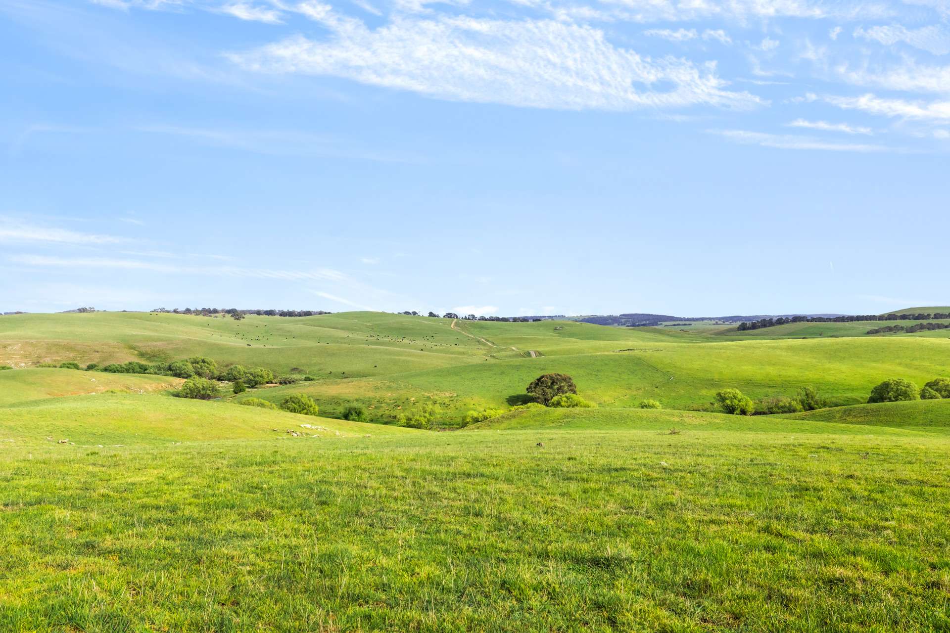 1994 Range Road, Goulburn For Sale by Farmbuy.com - image 16