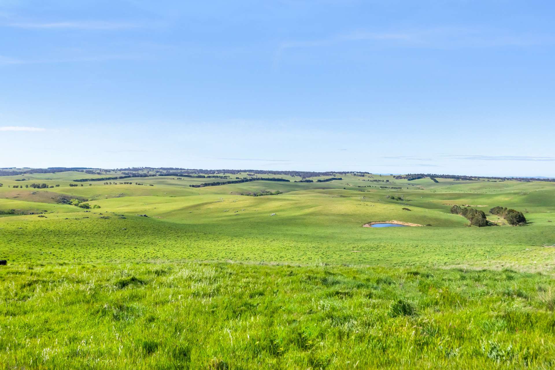 1994 Range Road, Goulburn For Sale by Farmbuy.com - image 24