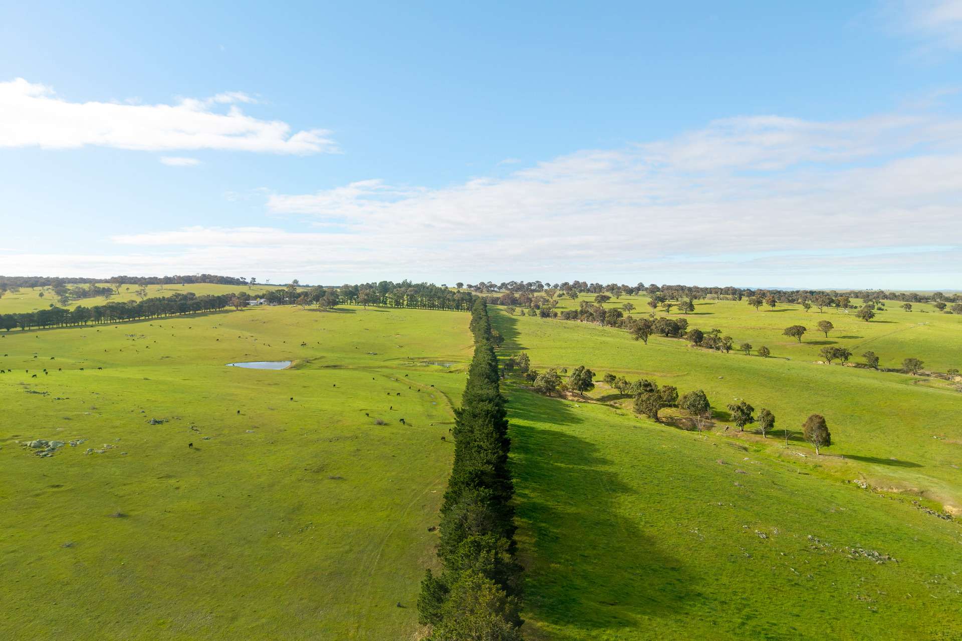 1994 Range Road, Goulburn For Sale by Farmbuy.com - image 33