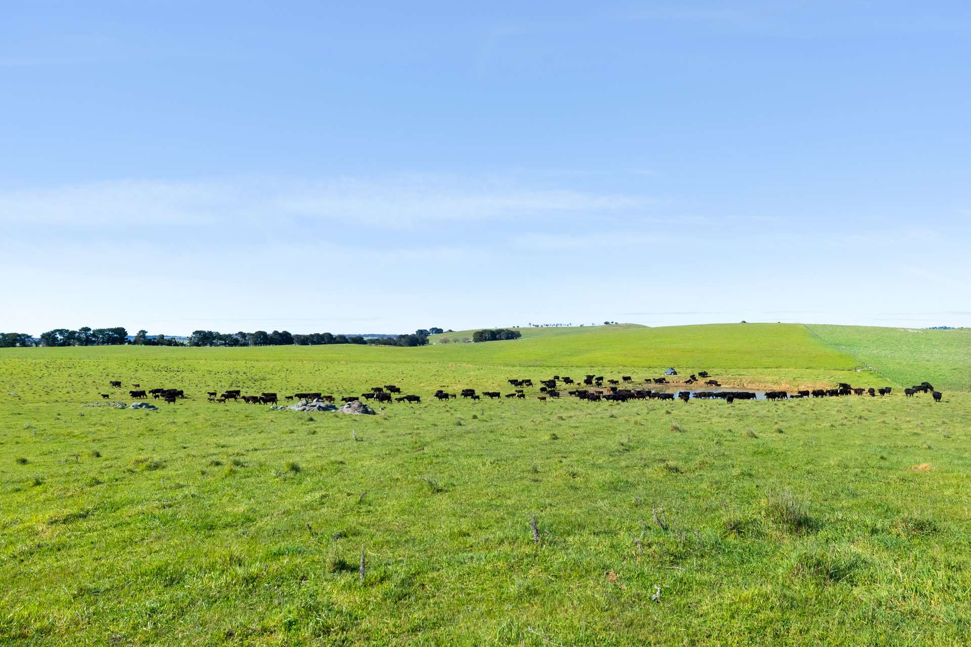 1994 Range Road, Goulburn For Sale by Farmbuy.com - image 6