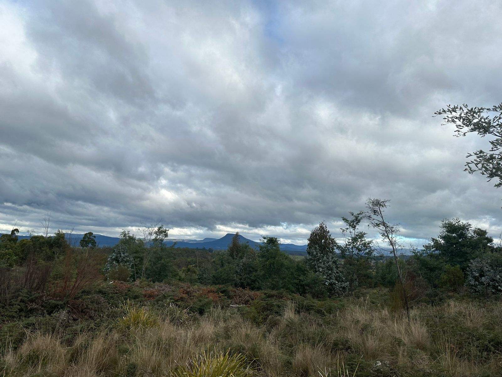 Lot 2 Wadleys Road, Reedy Marsh For Sale by Farmbuy.com - image 4