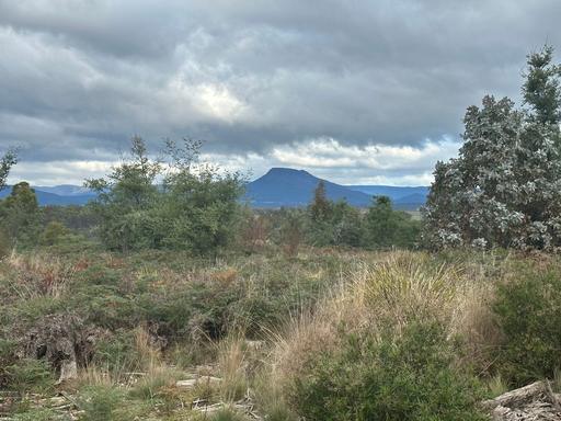 Lot 2 Wadleys Road, Reedy Marsh TAS 7304