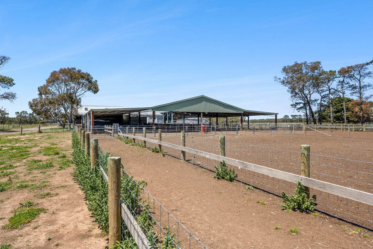 960 Inverleigh-Winchelsea Road, Inverleigh For Sale by Farmbuy.com - image 7