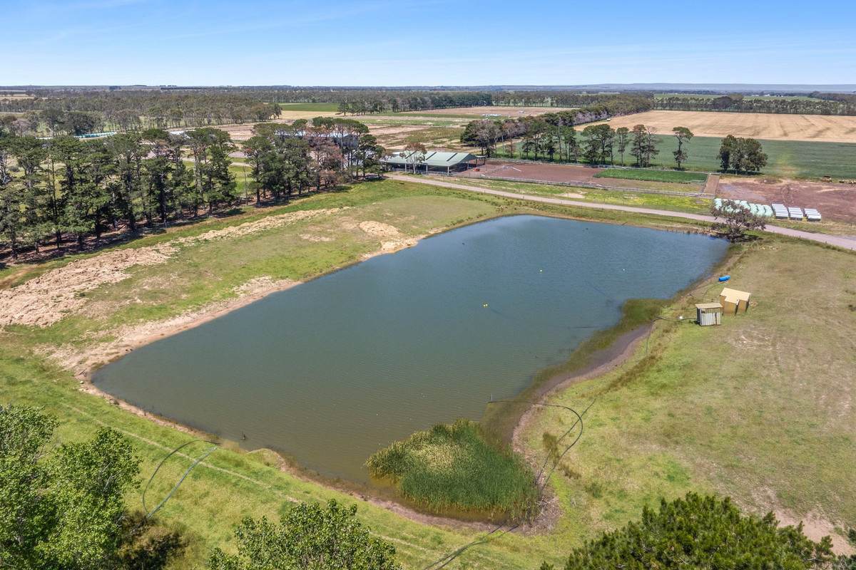 960 Inverleigh-Winchelsea Road, Inverleigh For Sale by Farmbuy.com - image 5
