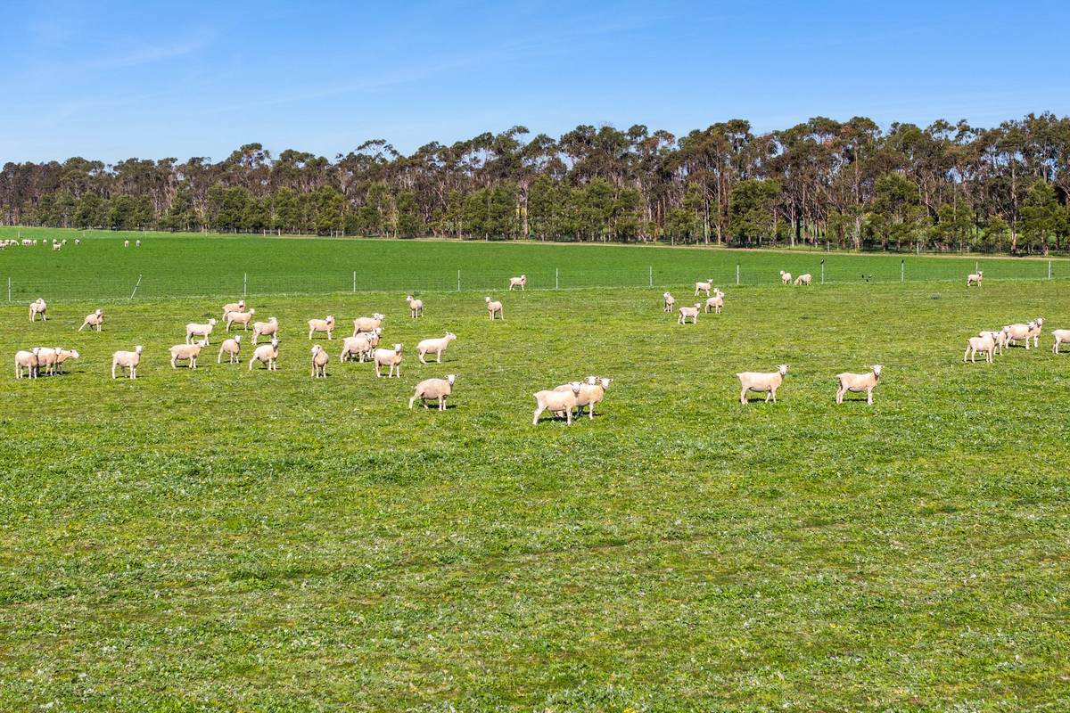 960 Inverleigh-Winchelsea Road, Inverleigh For Sale by Farmbuy.com - image 13