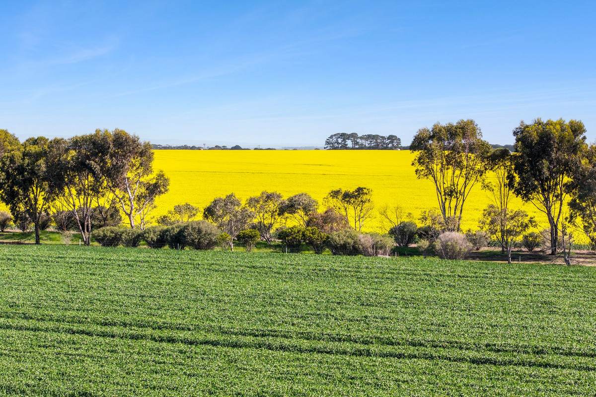 960 Inverleigh-Winchelsea Road, Inverleigh For Sale by Farmbuy.com - image 17