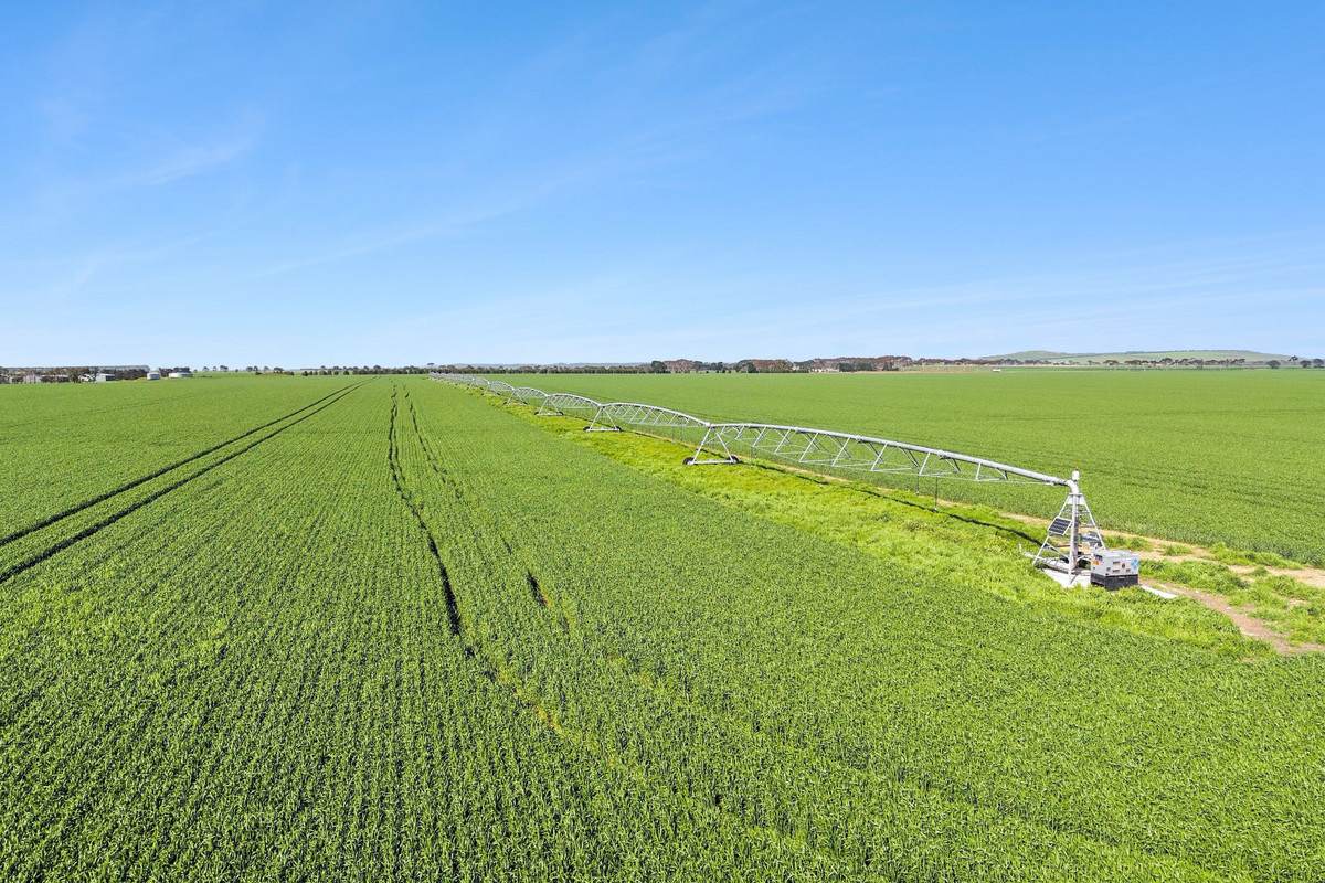 960 Inverleigh-Winchelsea Road, Inverleigh For Sale by Farmbuy.com - image 34
