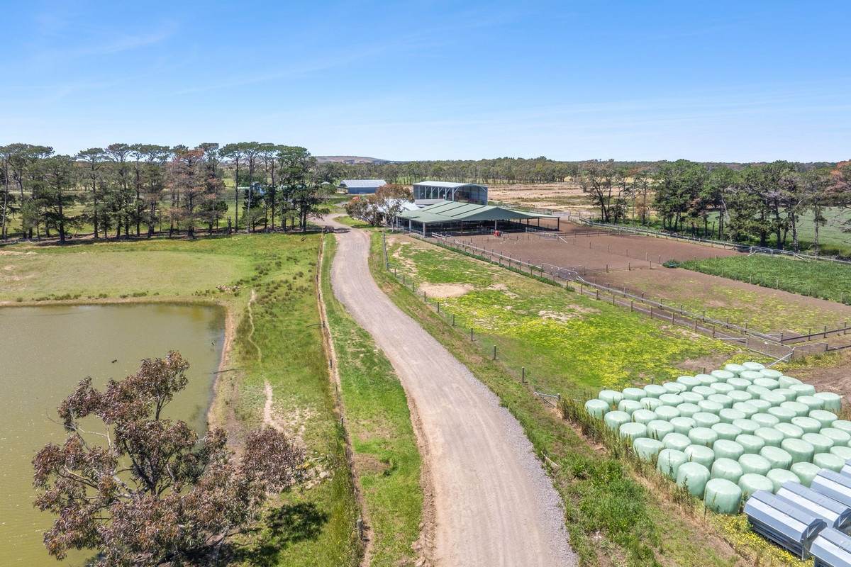 960 Inverleigh-Winchelsea Road, Inverleigh For Sale by Farmbuy.com - image 6