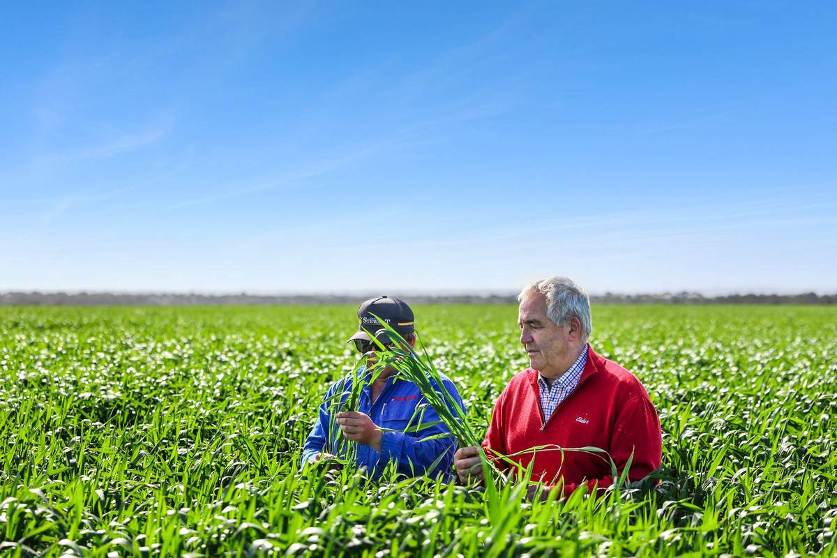 960 Inverleigh-Winchelsea Road, Inverleigh For Sale by Farmbuy.com - image 33