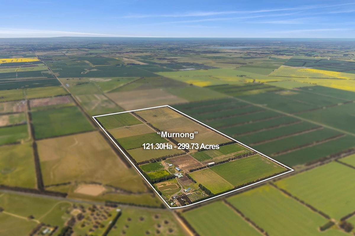 960 Inverleigh-Winchelsea Road, Inverleigh For Sale by Farmbuy.com - image 3
