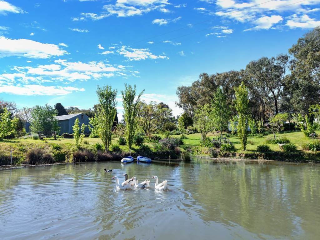 111 Forbes Lane, Young NSW 2594
