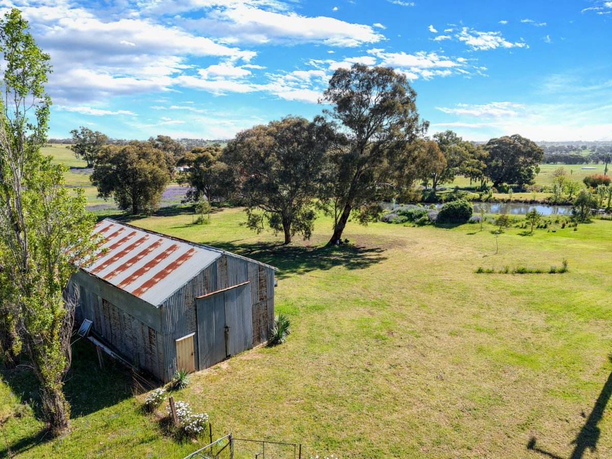111 Forbes Lane, Young For Sale by Farmbuy.com - image 14