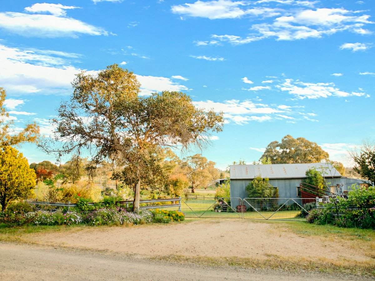 111 Forbes Lane, Young For Sale by Farmbuy.com - image 18