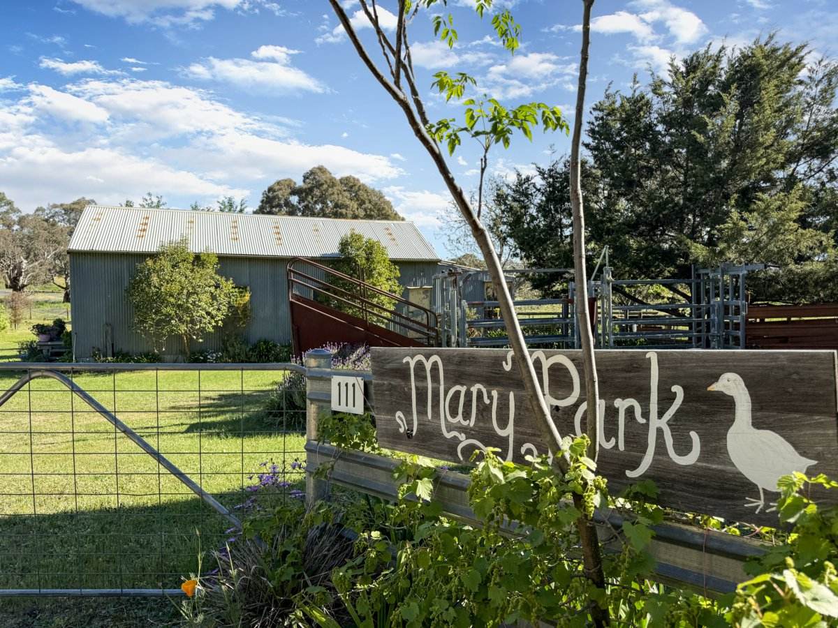 111 Forbes Lane, Young For Sale by Farmbuy.com - image 2
