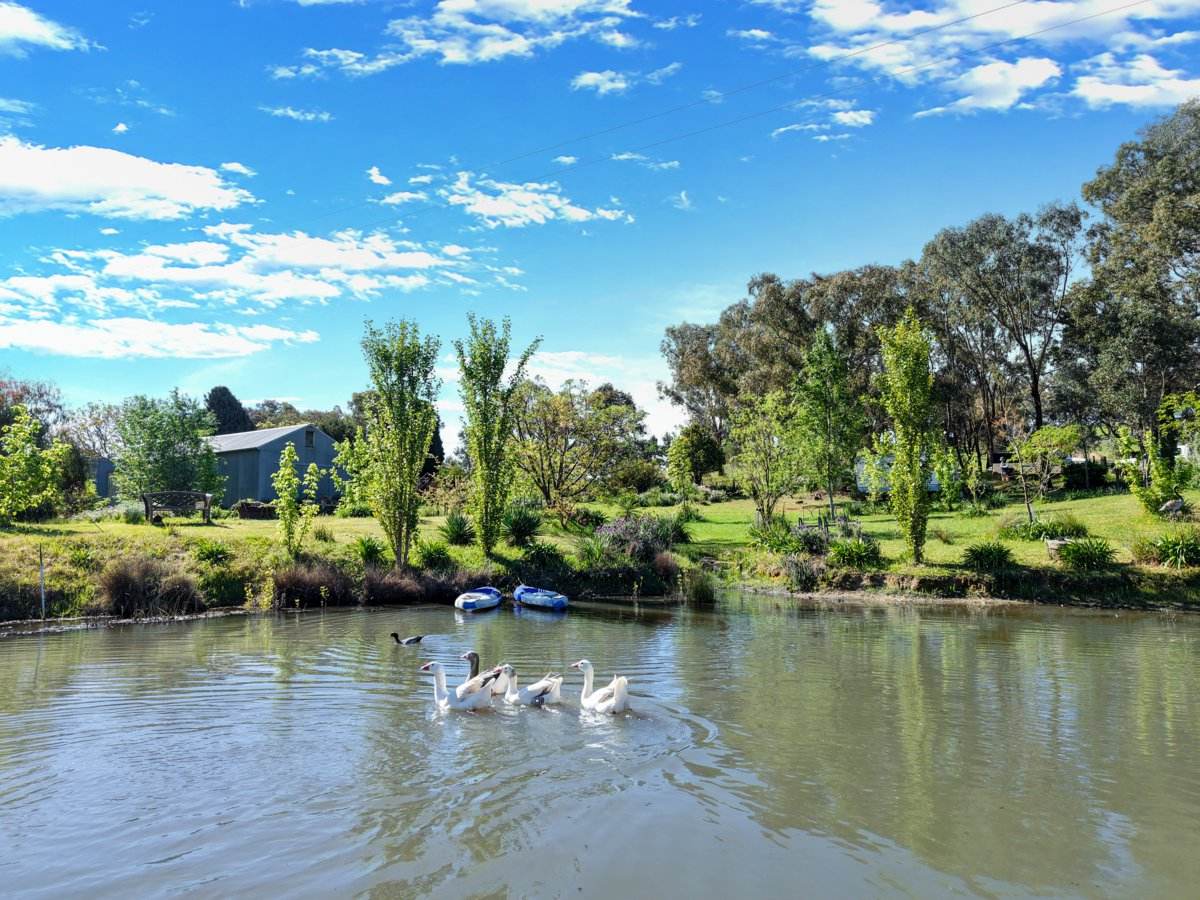111 Forbes Lane, Young For Sale by Farmbuy.com - image 1