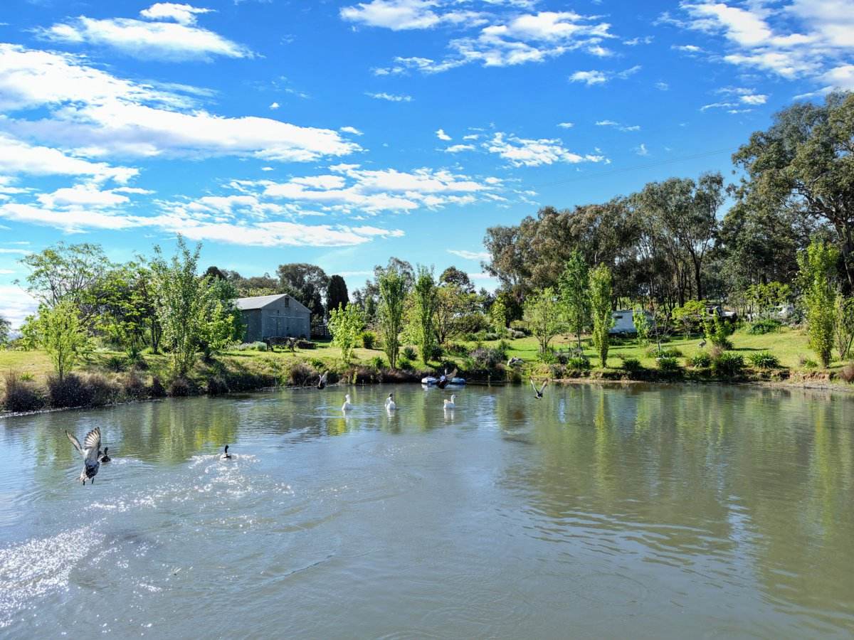 111 Forbes Lane, Young For Sale by Farmbuy.com - image 23