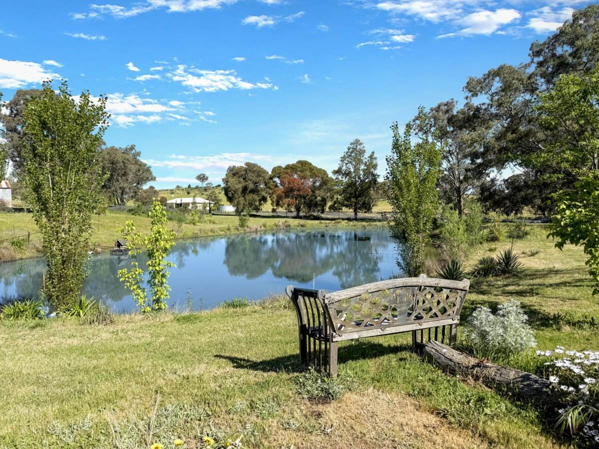111 Forbes Lane, Young For Sale by Farmbuy.com - image 13