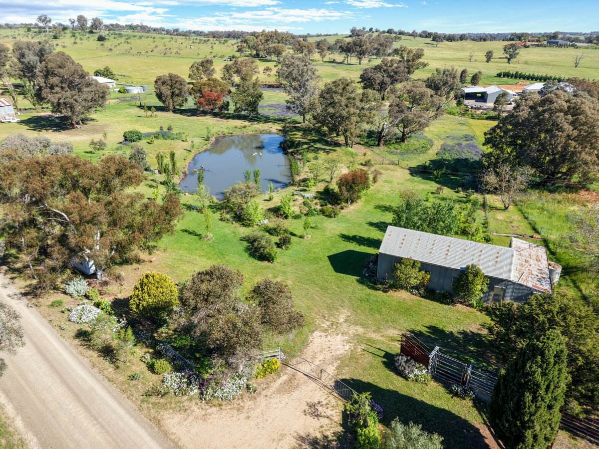111 Forbes Lane, Young For Sale by Farmbuy.com - image 22