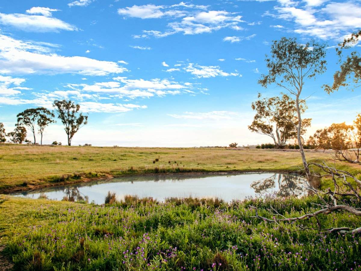 111 Forbes Lane, Young For Sale by Farmbuy.com - image 4