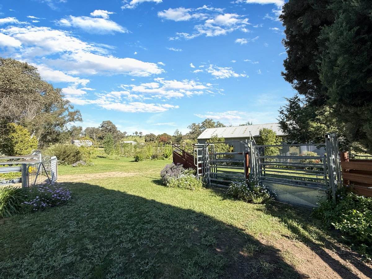 111 Forbes Lane, Young For Sale by Farmbuy.com - image 17