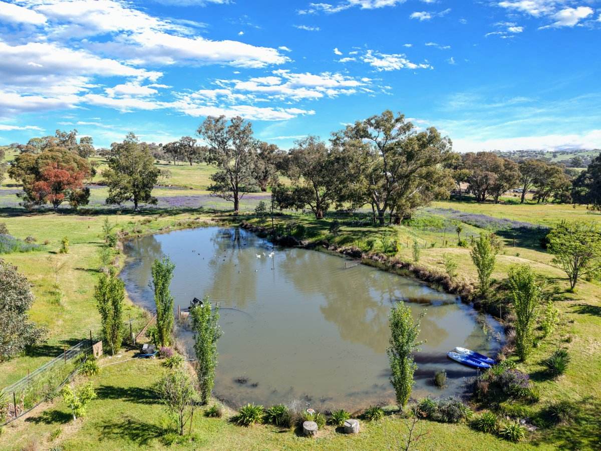 111 Forbes Lane, Young For Sale by Farmbuy.com - image 11