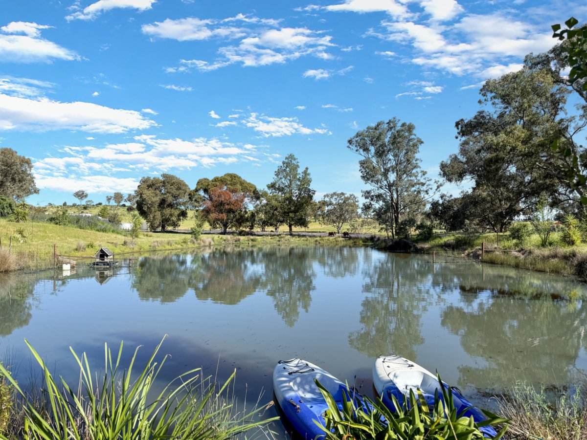 111 Forbes Lane, Young For Sale by Farmbuy.com - image 12