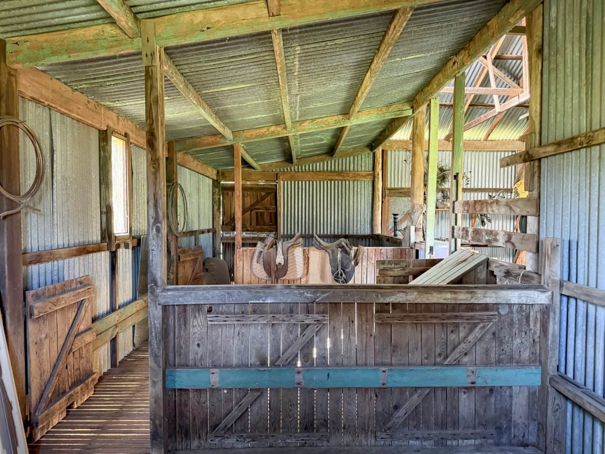 111 Forbes Lane, Young For Sale by Farmbuy.com - image 10