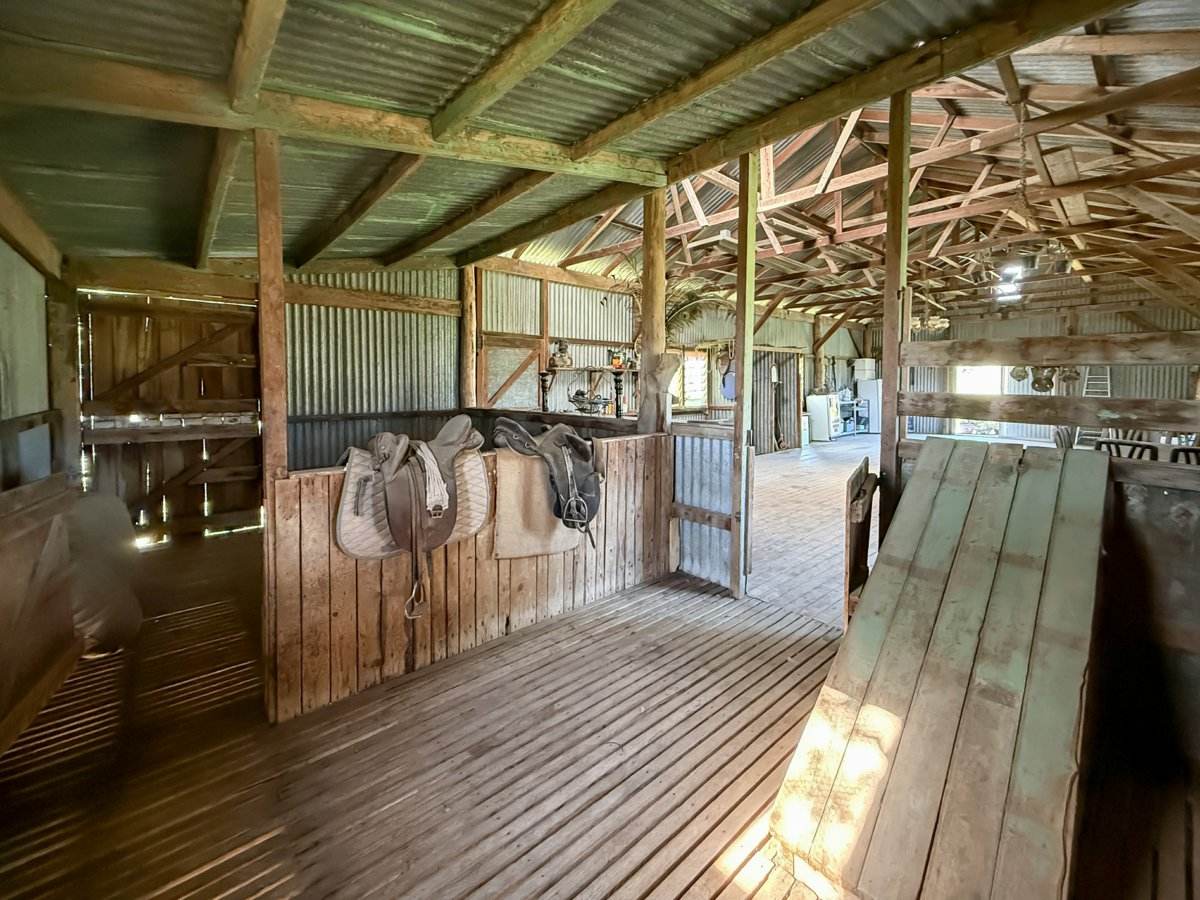 111 Forbes Lane, Young For Sale by Farmbuy.com - image 8