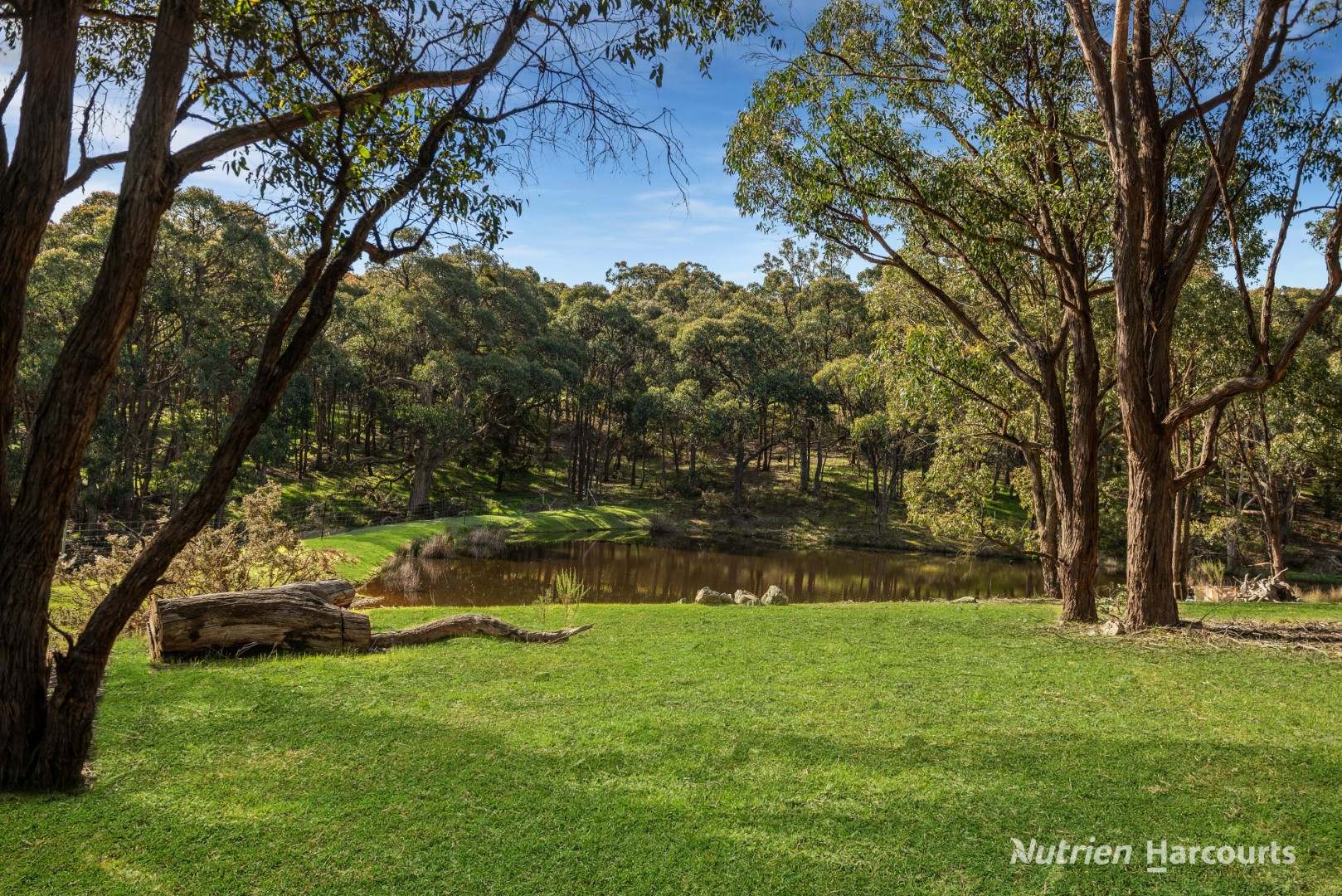 140 Split Staff Gully Road, Willowmavin For Sale by Farmbuy.com - image 6