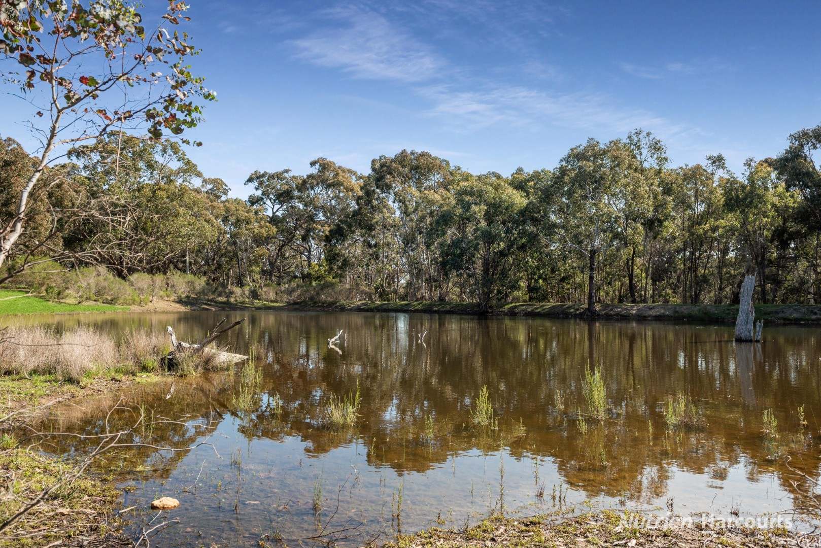 140 Split Staff Gully Road, Willowmavin For Sale by Farmbuy.com - image 11