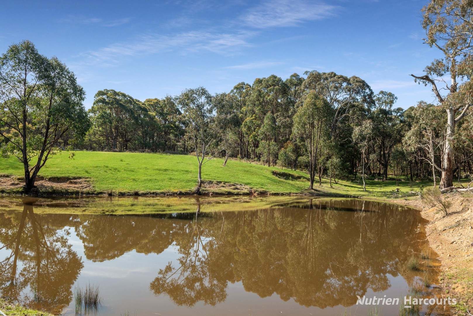 140 Split Staff Gully Road, Willowmavin For Sale by Farmbuy.com - image 12