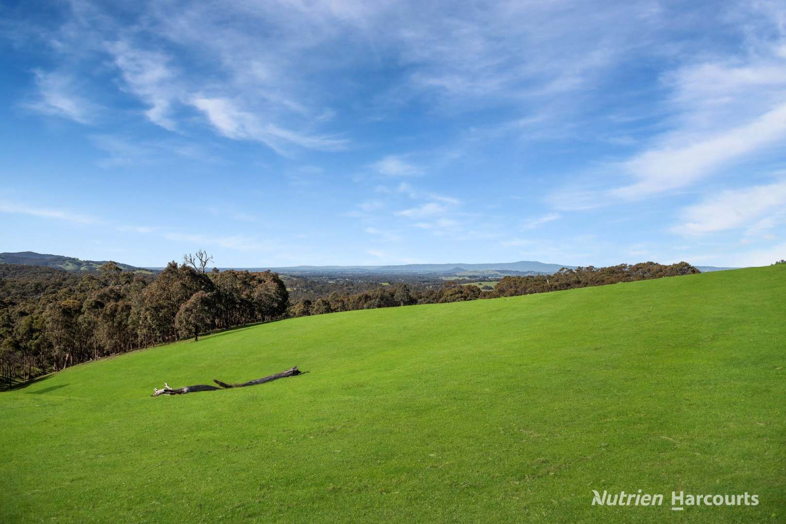 140 Split Staff Gully Road, Willowmavin For Sale by Farmbuy.com - image 8